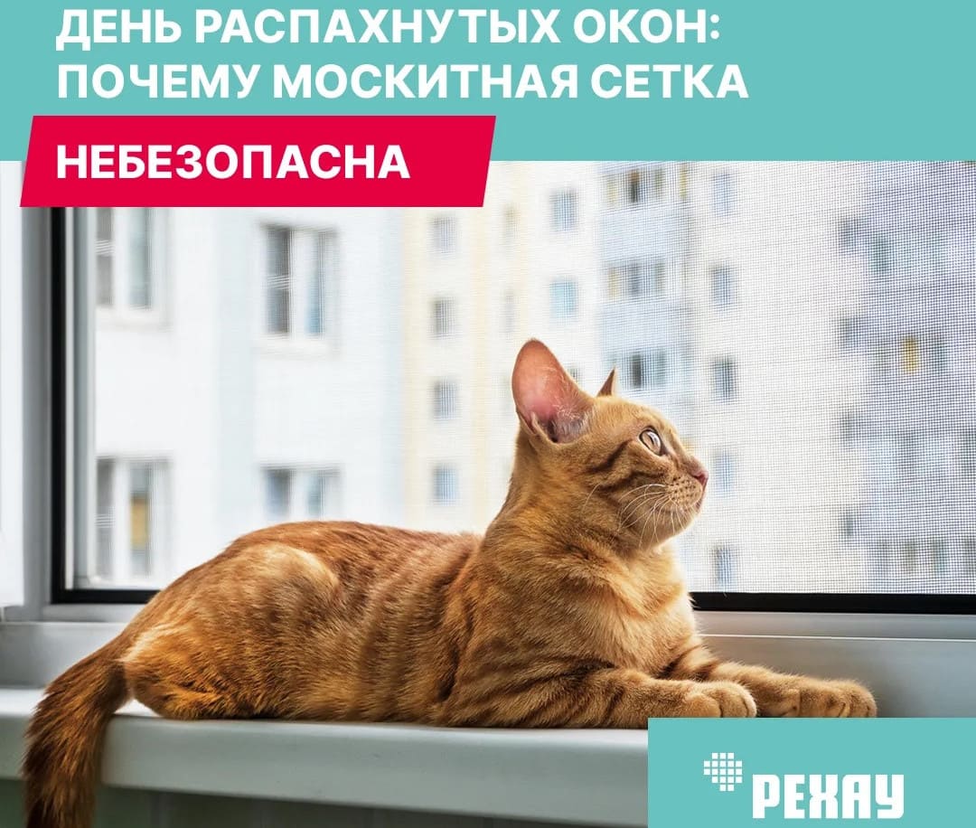 Москитная сетка